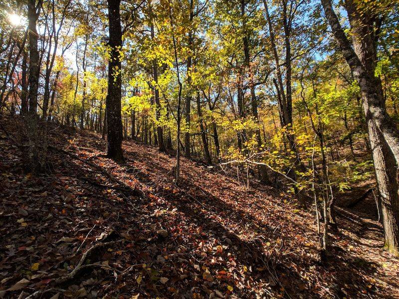 The Trail That Goes On Forever
