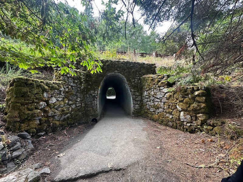 The Trail That Starts With A Tunnel