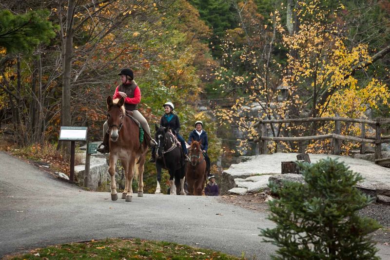 Cancel Your Plans, Keep The Memory