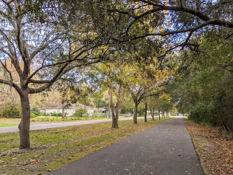 Birdlife Along The Trail Is Extraordinary In Spring