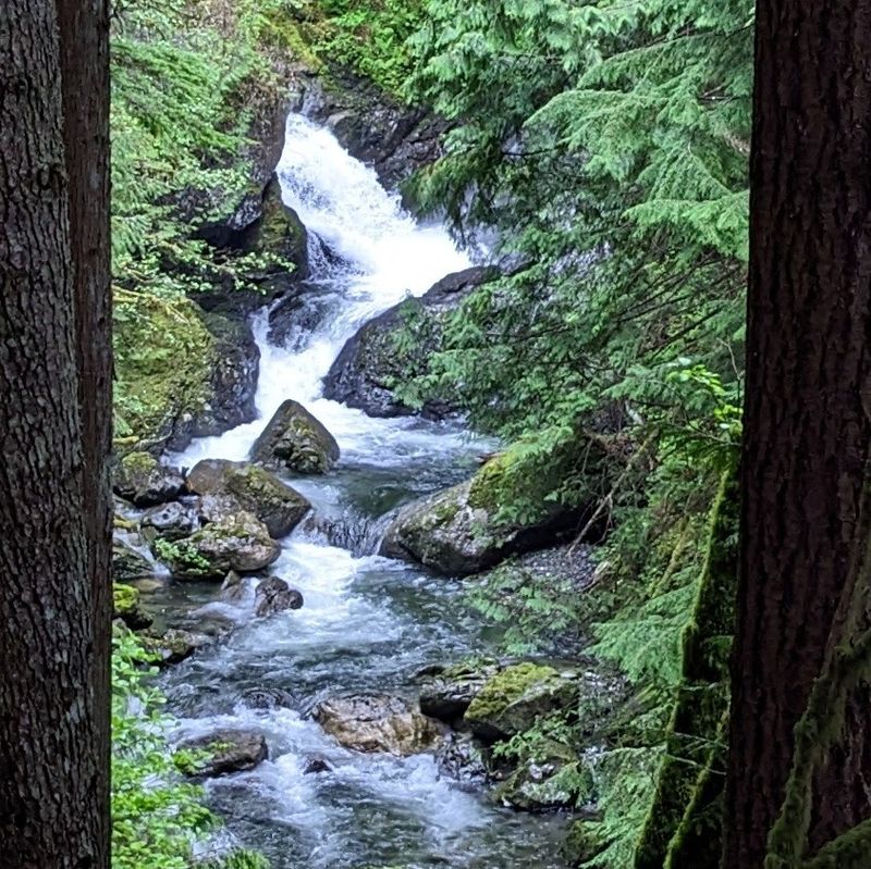 Hiking Alongside The Wallace River