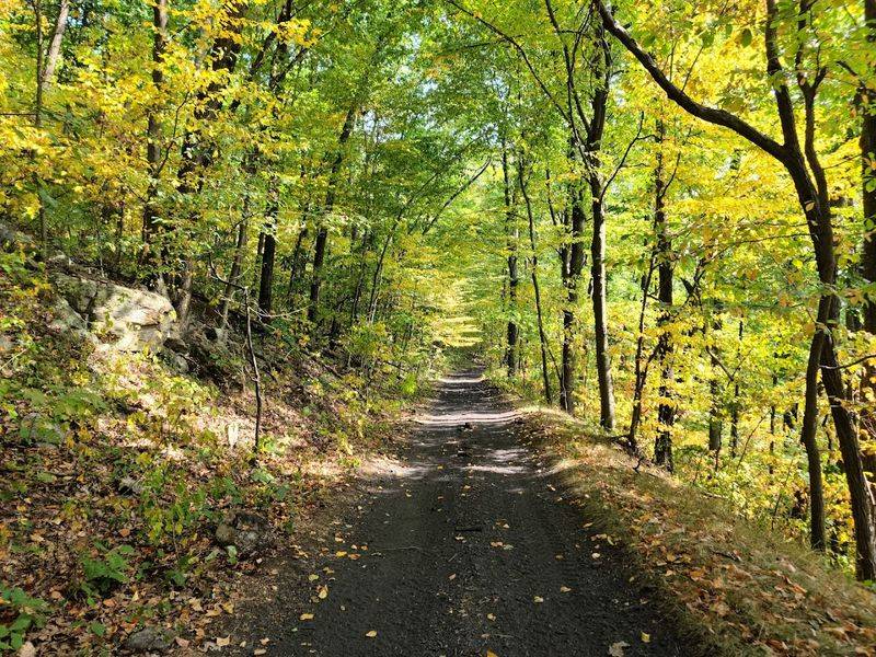 Conservation Efforts Include American Chestnut Tree Planting
