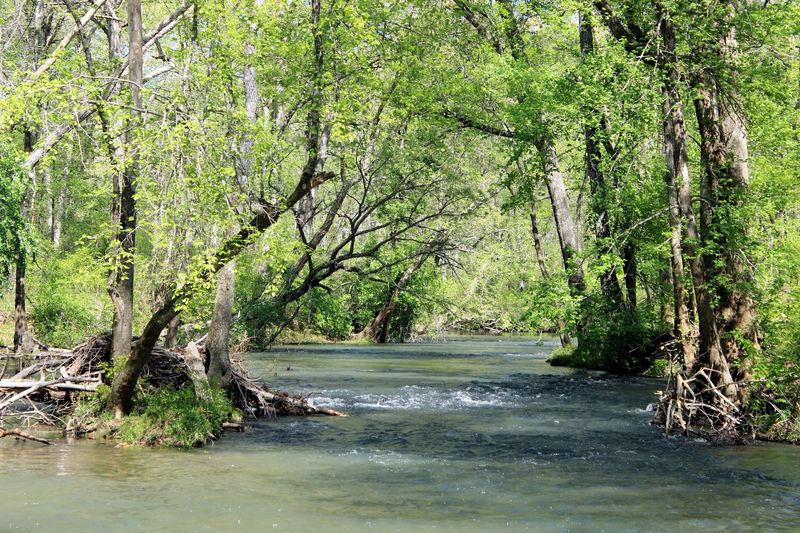 The Trail's Best Supporting Character