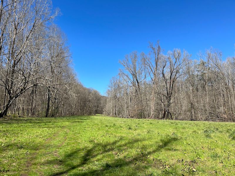 You Walk Through Three Open Meadows Before Entering The Forest