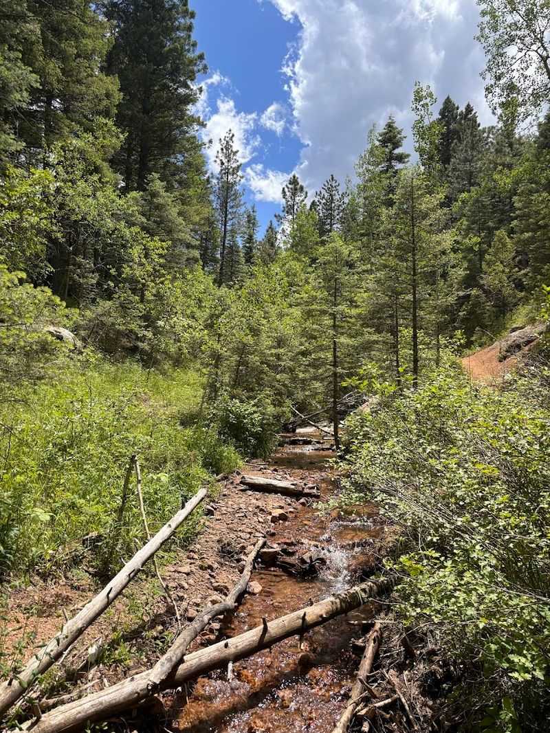 Following the Creek All the Way Up