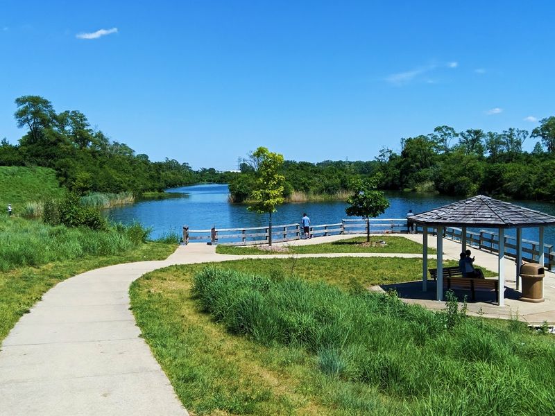 Important Rules That Protect The Birds