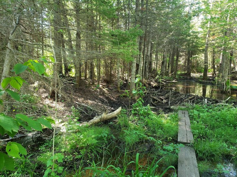 The Trails Are Beautiful Because They Are Not Polished