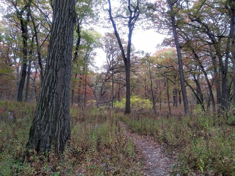 Native American History Runs Deep Here