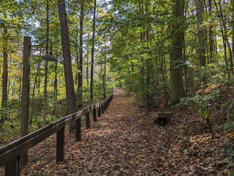 The Trails That Make This Property A Nature Lover's Dream The Trails That Make This Property A Nature Lover's Dream