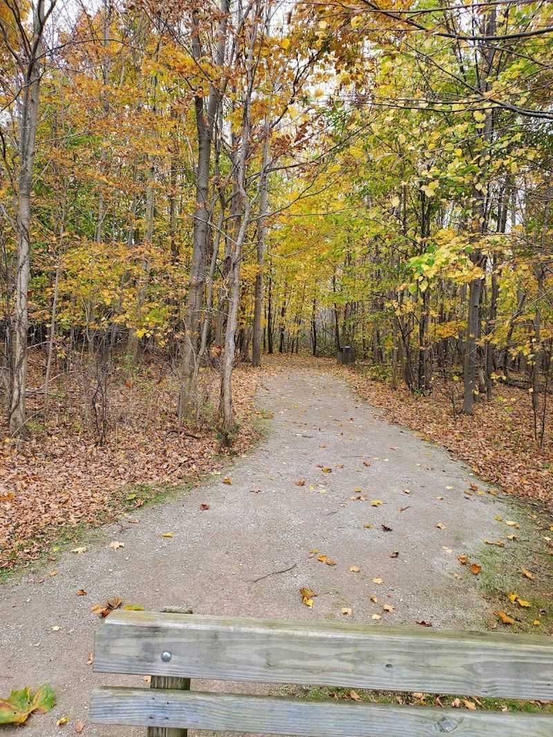 The Trails That Wind Through Woods and Meadows