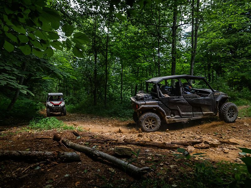 The Trails Wind Deep Into The Woods The Trails Wind Deep Into The Woods