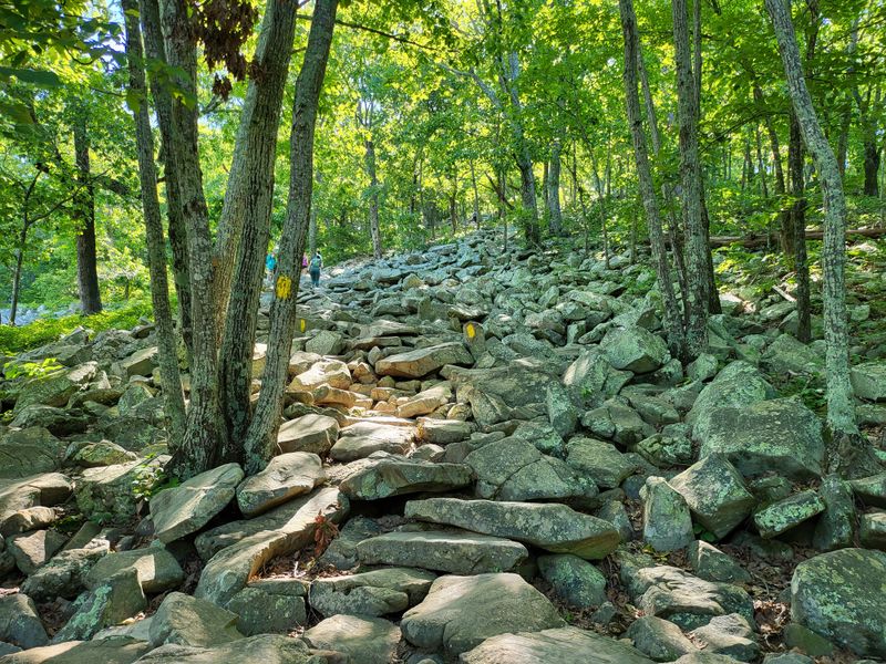 Discovering Hidden Corners Of The Park