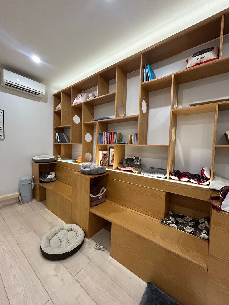 Adoption Mission Central