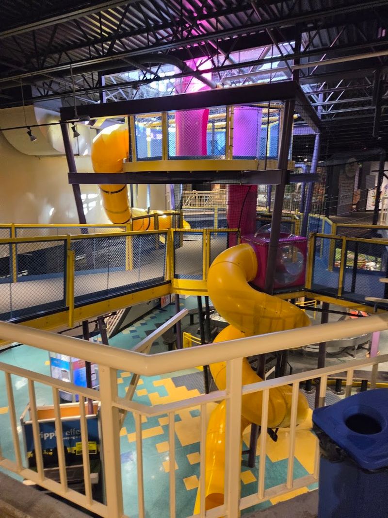 The Tree Canopy And Climbing Areas For Active Kids