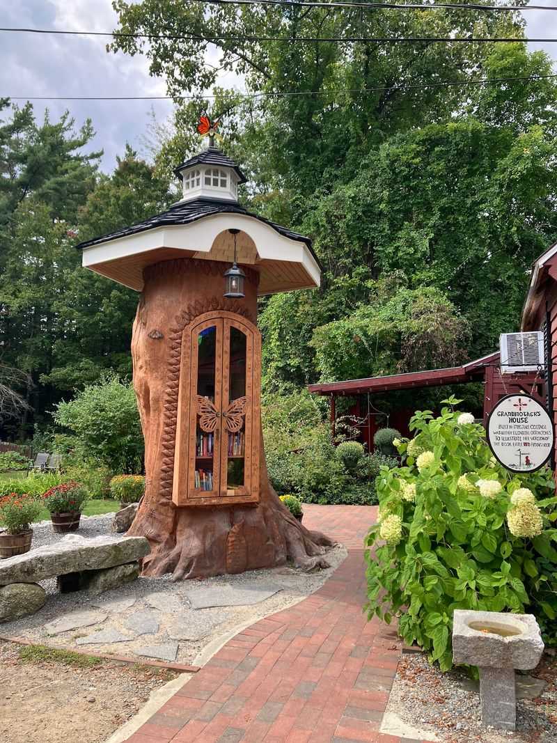 The Tree Stump Library That Steals Everyone's Heart The Tree Stump Library That Steals Everyone's Heart