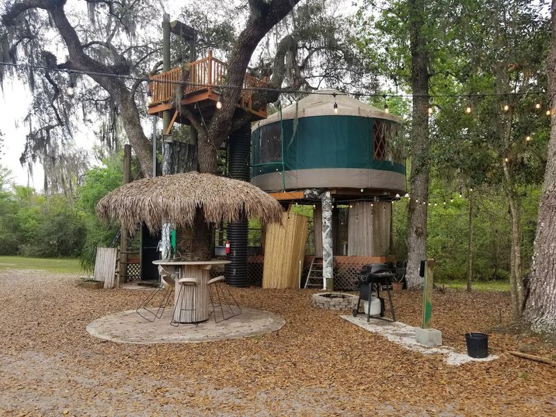 The Treehouse Accommodation Built By Hand With Real Craft The Treehouse Accommodation Built By Hand With Real Craft