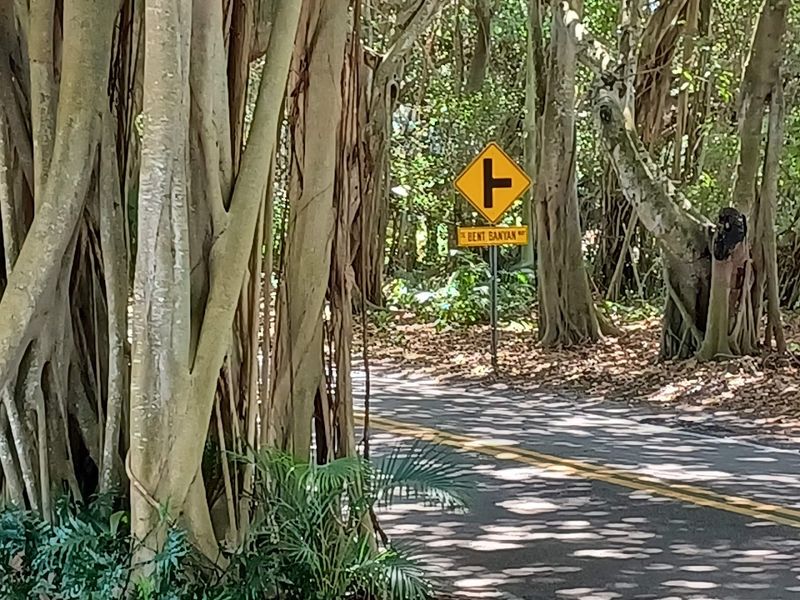 Morning Light Vs. Evening Glow: When To Visit