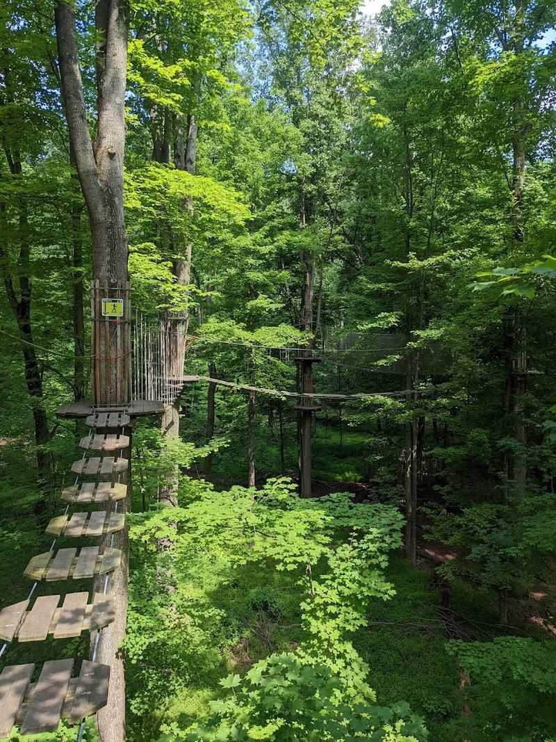 The Treetop Adventure Course That Steals the Show The Treetop Adventure Course That Steals the Show