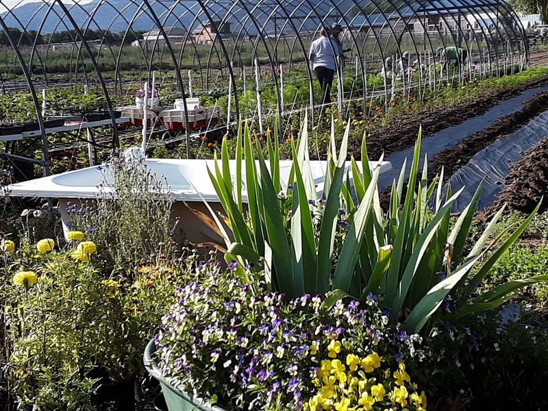 The Triangle Oasis Reveals Its Farm Stand Charm The Triangle Oasis Reveals Its Farm Stand Charm