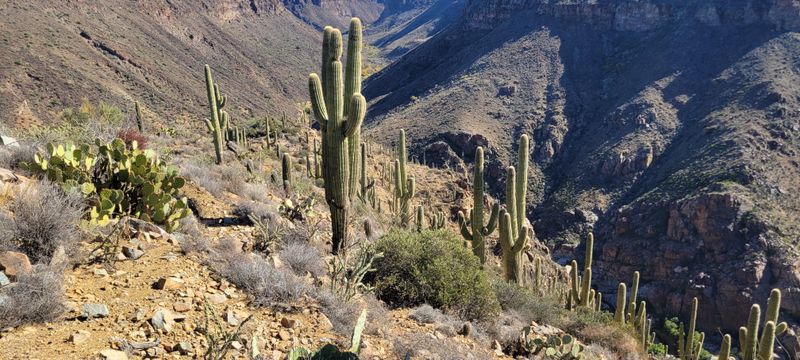 Agua Fria River Views