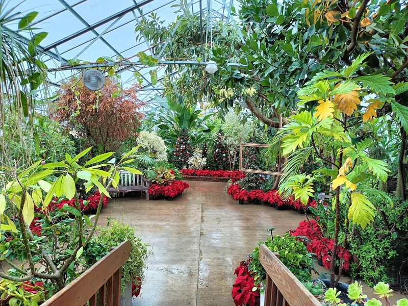 The Tropical Conservatory That Ignores November