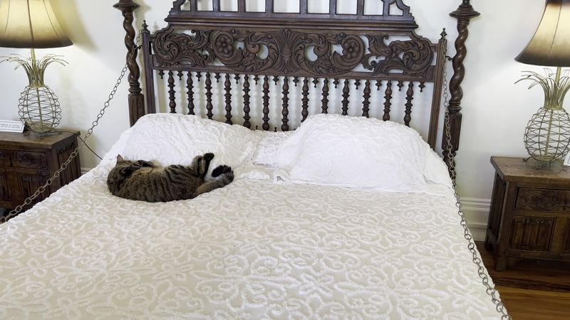 The Home Is Filled With Authentic Personal Artifacts And Original Furnishings