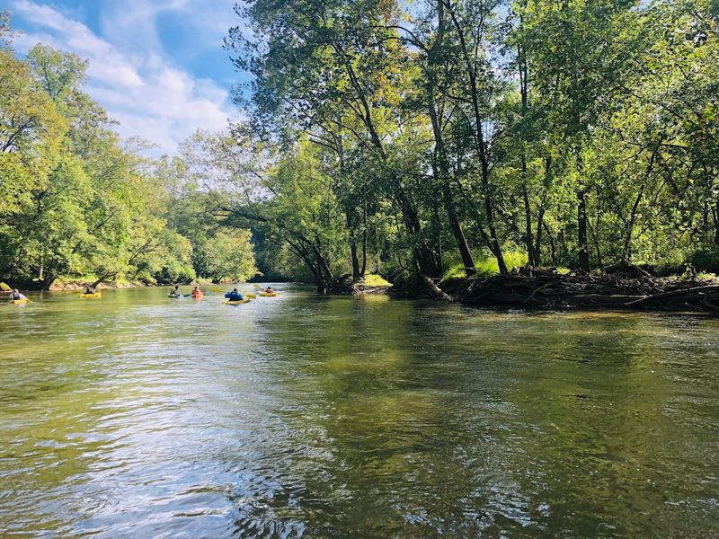 Kayaking and Canoeing Along Scenic Waters