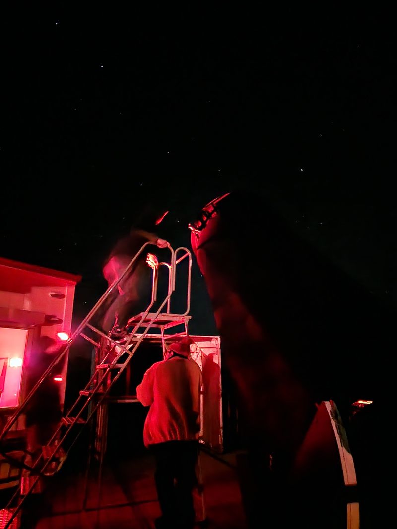 The Tucson Amateur Astronomy Association's Role