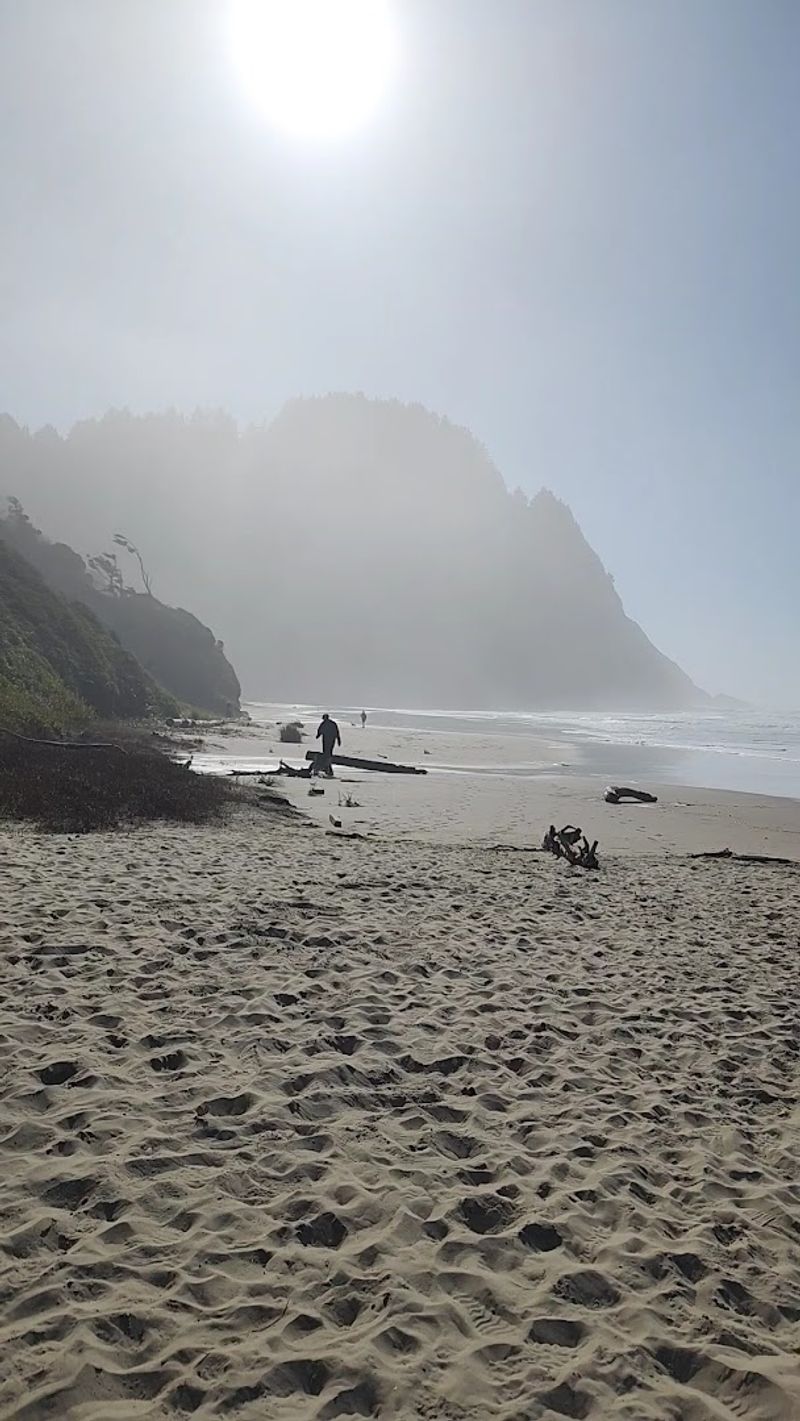 The Sand Dunes That Appear Out Of Nowhere