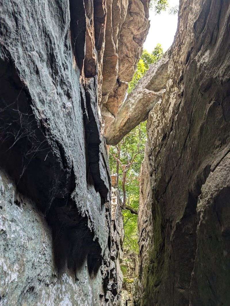 Subtle Clues Hidden Just Beyond The Main Route