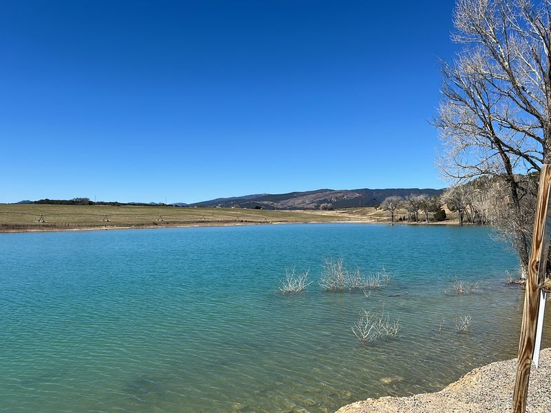 The Turquoise Surprise Off Highway 325