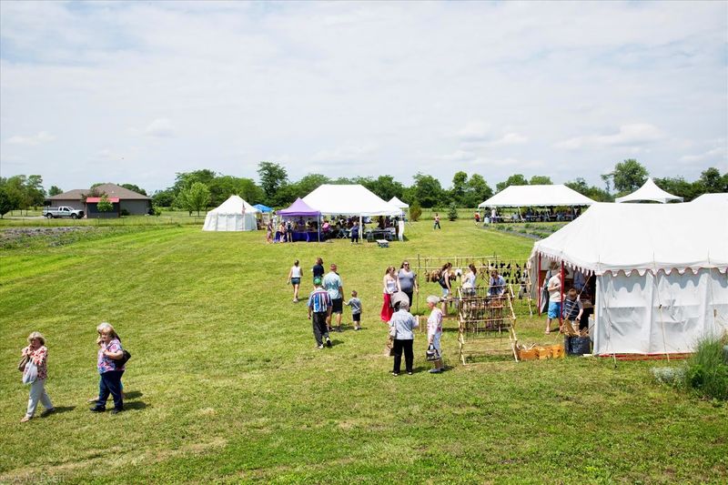 The Annual Lavender Festival