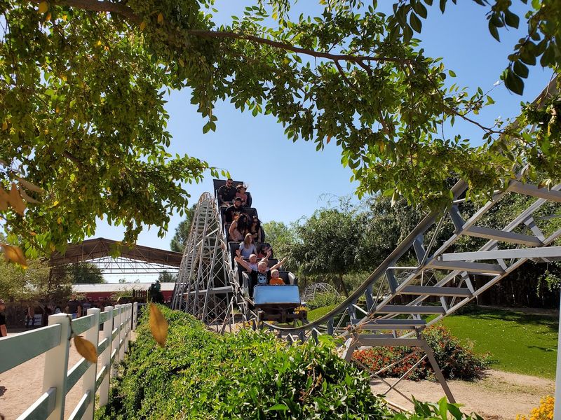 Seasonal Events That Transform The Farm Entirely