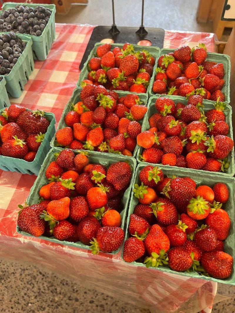 The U-Pick Strawberry Experience
