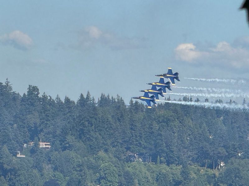 The U.S. Navy Blue Angels Air Show