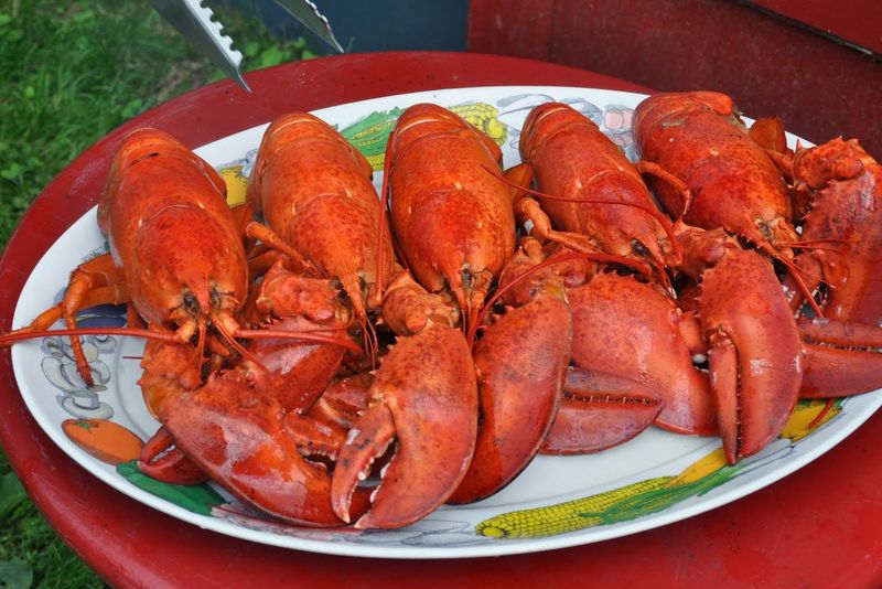 Where It All Began With One Unforgettable Bite