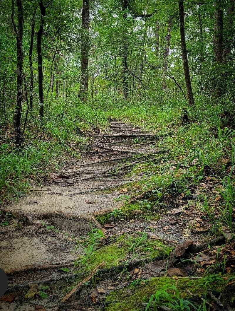 Practical Tips For Your Geological Adventure