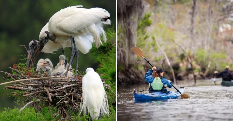 The Underrated Georgia River Town That Locals Call The State’s Most Relaxing Getaway