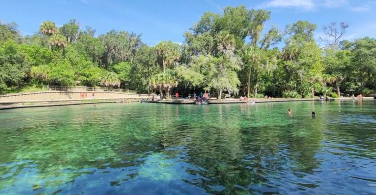 The Underrated State Park In Florida Where You Can Swim And Hike All Day For Just $5