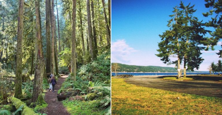 The Underrated State Park In Washington That’s Shockingly Beautiful, Yet Hardly Anyone Talks About It