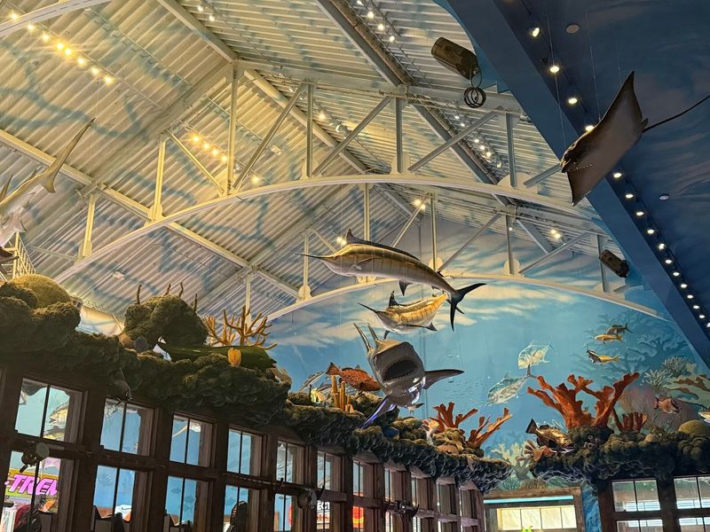 The Underwater Ambiance That Makes Every Meal Feel Like An Adventure