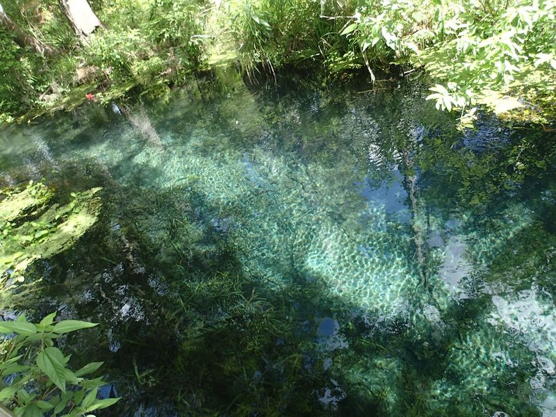 What the Boardwalk Trail Actually Looks Like