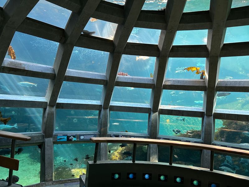 The Underwater Dome Experience The Underwater Dome Experience