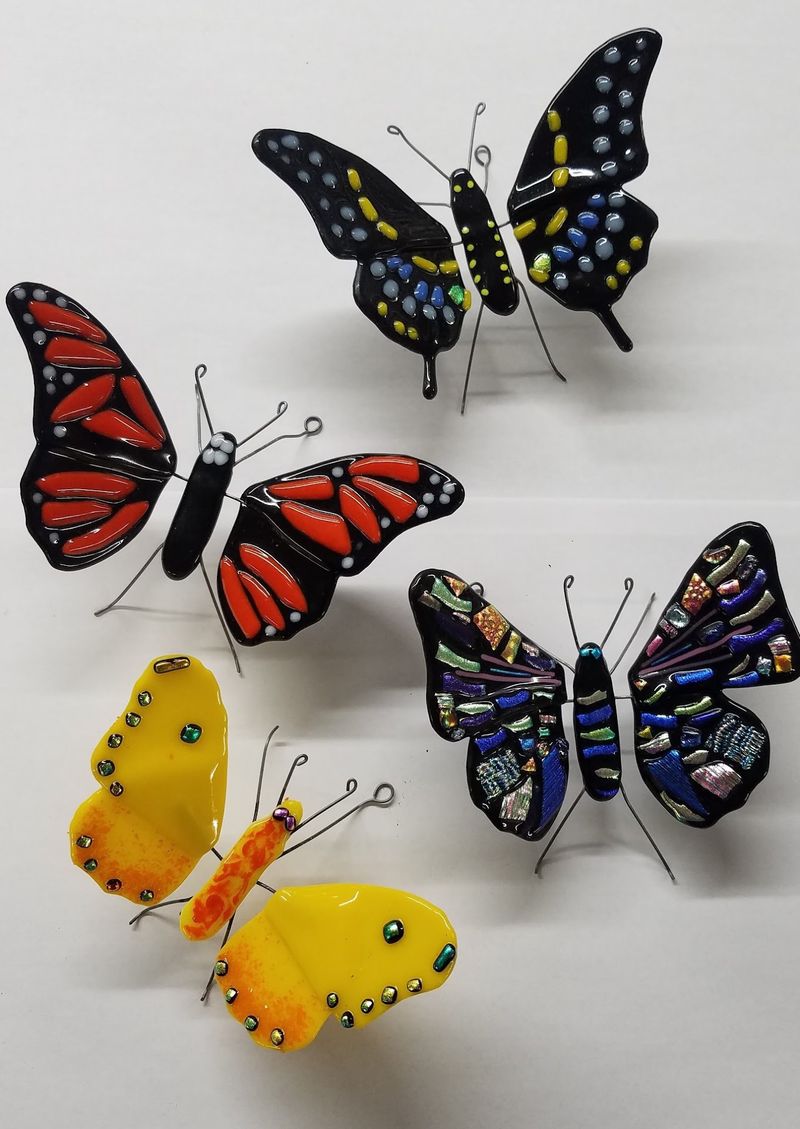 The Unexpected Bug And Butterfly Museum The Unexpected Bug And Butterfly Museum