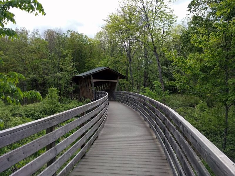 A Storybook Bridge In The Woods