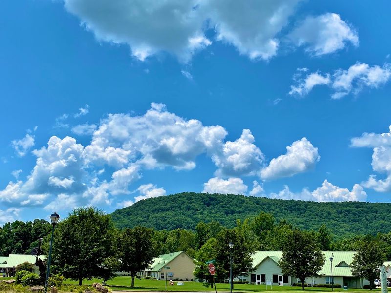 Spring Breezes Carrying The Scent Of Pine And Fresh Rain