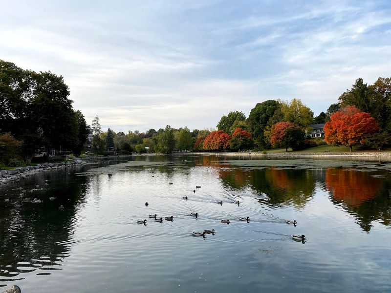 Wildlife Watching Around the Lake