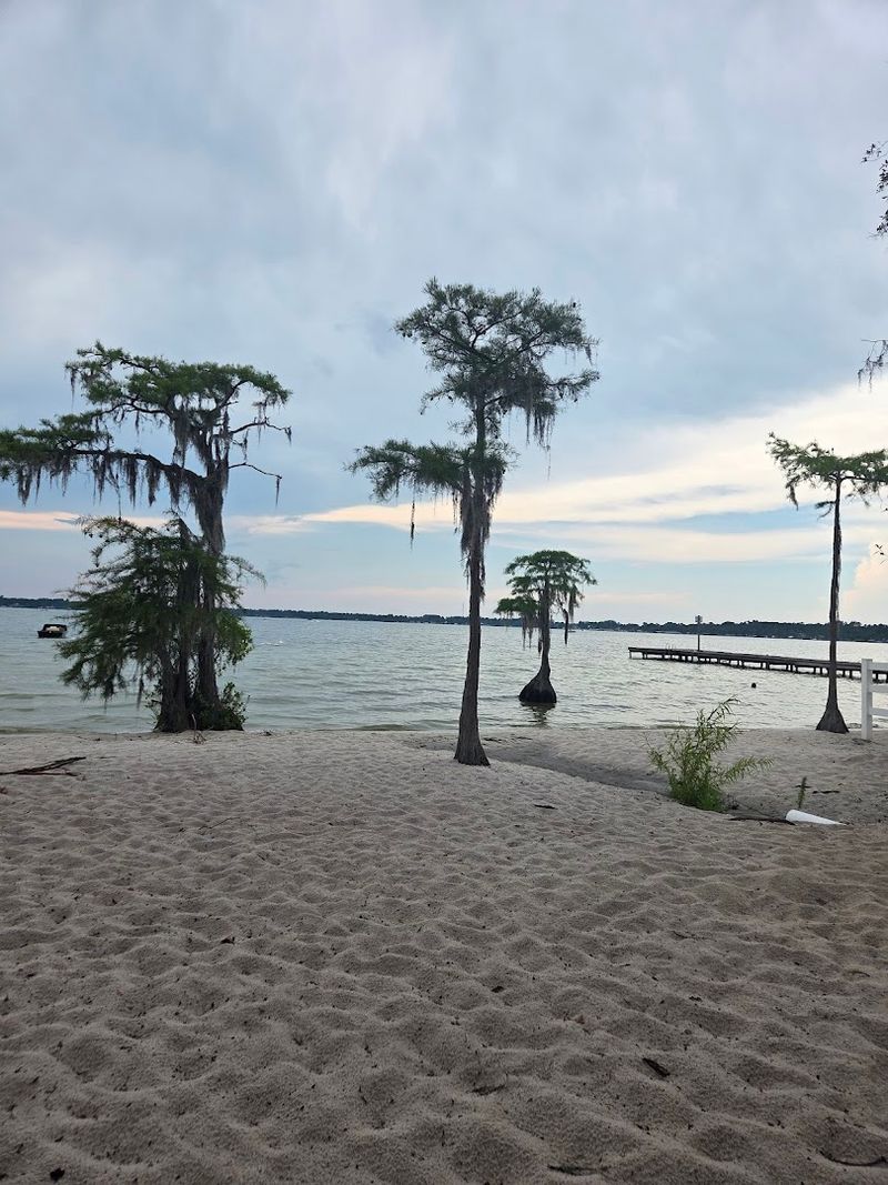 Swimming In Spring-Fed Perfection