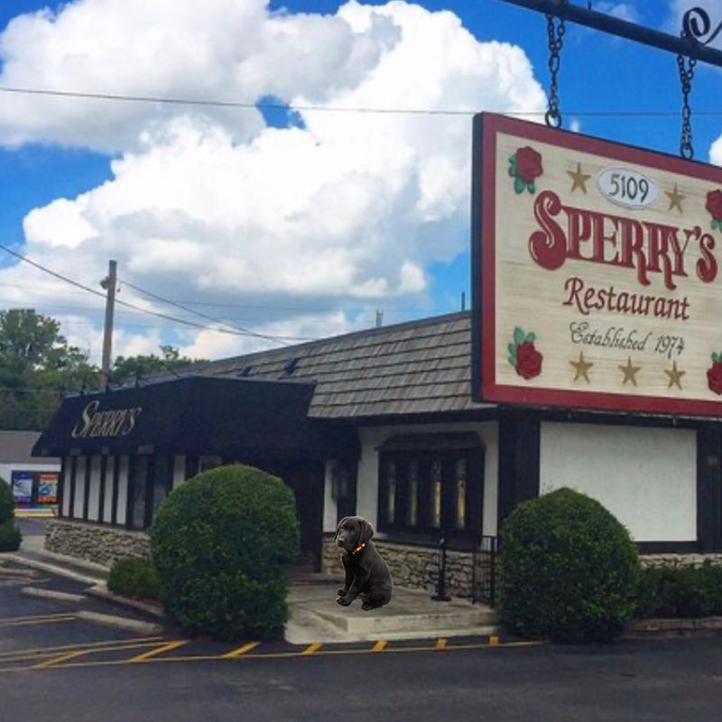 Address, Hours, and First Impressions