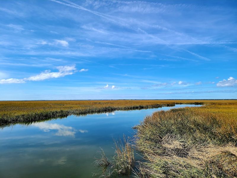 The Untouched Tidal Marshes That Surround Lands End
